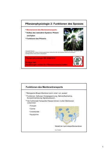 download Plant Breeding for Pest and Disease Resistance. Studies in the