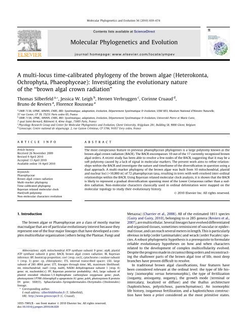 A multi-locus time-calibrated phylogeny of the brown algae ...