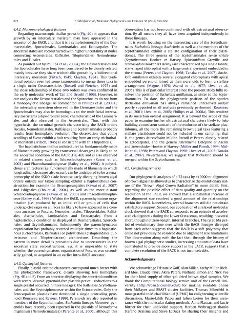 A multi-locus time-calibrated phylogeny of the brown algae ...