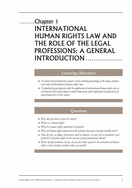 international human rights law and the role of the legal professions