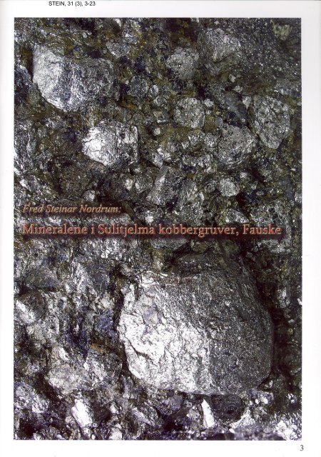 Mineralene i Sulitjelma kobbergruver, Fauske pdf - NAGS
