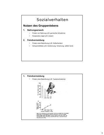 Sozialverhalten