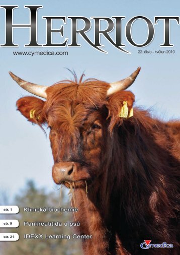 Pankreatitida u psÅ¯ - NetNews