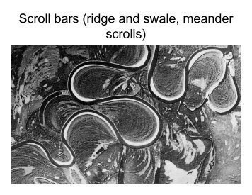 Scroll bars (ridge and swale, meander scrolls)