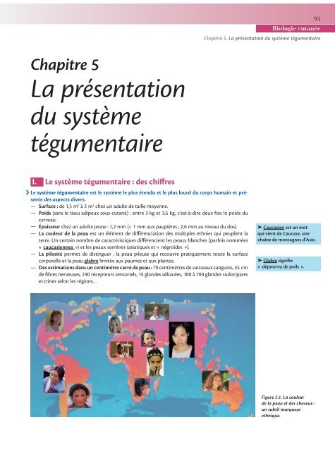 Chapitre 5 La prÃ©sentation du systÃ¨me tÃ©gumentaire - Decitre