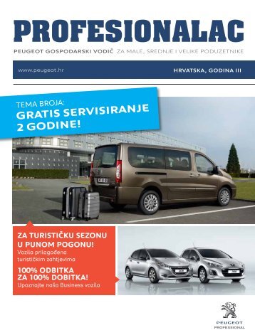PROFESIONALAC - Peugeot