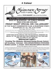 chimney corner oroory hill stud 3p elimar pigeon services chimney corner oroory hill stud 3p elimar pigeon services