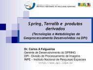 Spring, TerraLib e Produtos - INPE-DGI