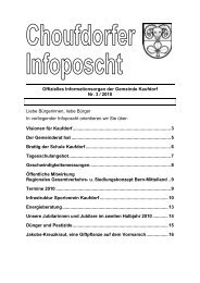 Infoposcht Nr. 3/2010 - Kaufdorf