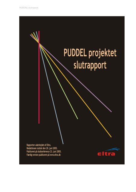 PUDDEL-slutrapport - Energinet.dk