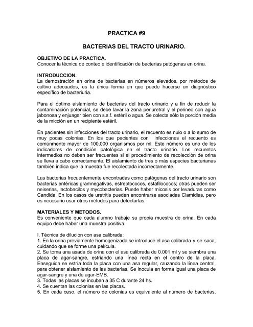 BactÃ©rias del Tracto Urinario.