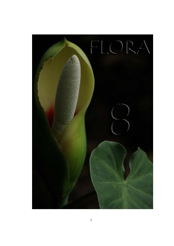 Flora - Cortolima