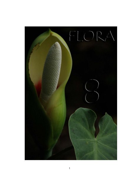 Flora - Cortolima