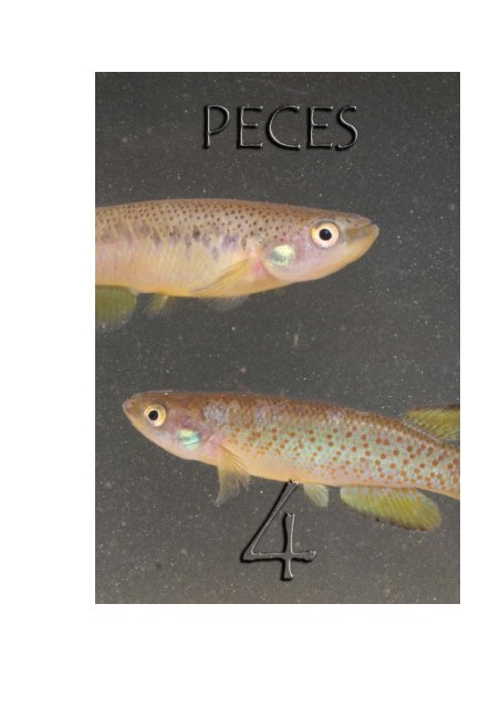 Peces - Cortolima