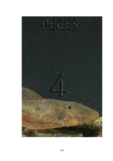 Peces - Cortolima