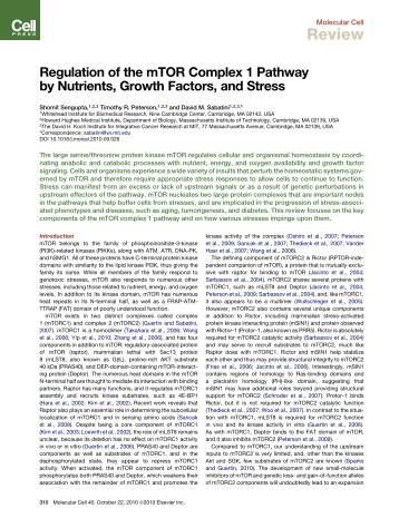 Regulation of the mTOR Complex 1 Pathway ... - Sabatini lab - MIT