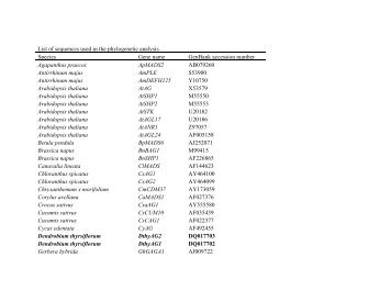 Complete list of sequences used in the phylogenetic analysis