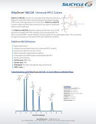 SiliaChromÂ® AQ C18 - Universal HPLC Column - Silicycle