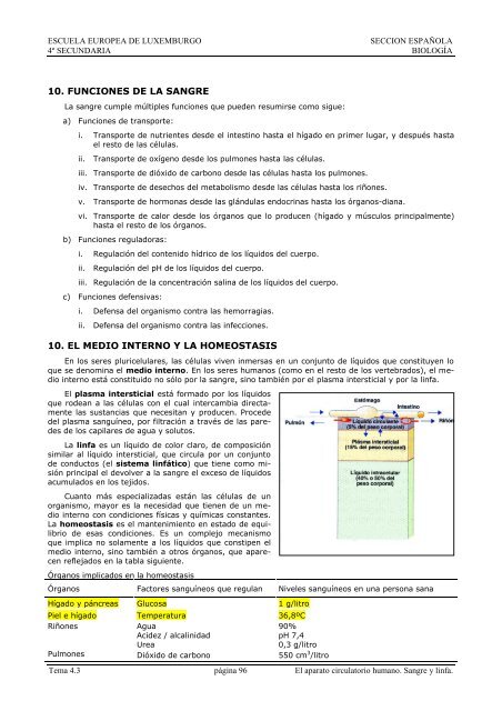 Tema 4.3. El Transporte en el cuerpo. Sangre y linfa.