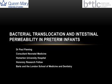 Intestinal Permeability and Bacterial Translocation in Preterm Infants