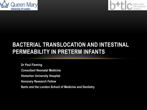 Intestinal Permeability and Bacterial Translocation in Preterm Infants