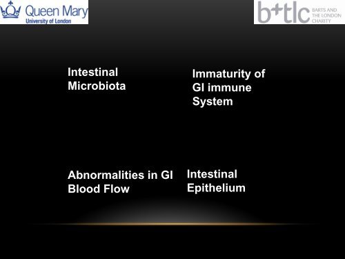 Intestinal Permeability and Bacterial Translocation in Preterm Infants