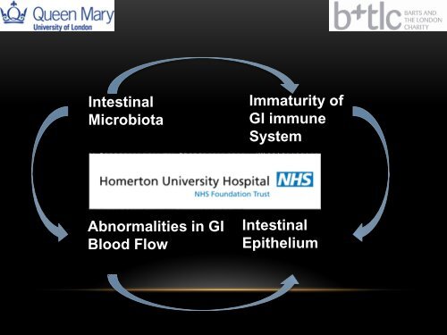 Intestinal Permeability and Bacterial Translocation in Preterm Infants