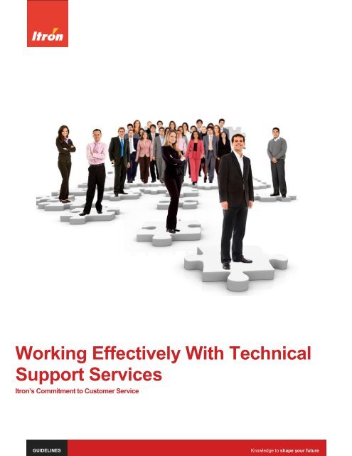 Working Effectively With Technical Support Services - Itron