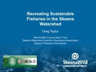 Recreating Sustainable Fisheries in the Skeena Watershed