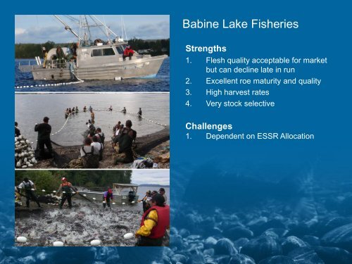 Recreating Sustainable Fisheries in the Skeena Watershed