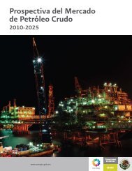 Prospectiva del Mercado de Petroleo Crudo 2010 - 2025