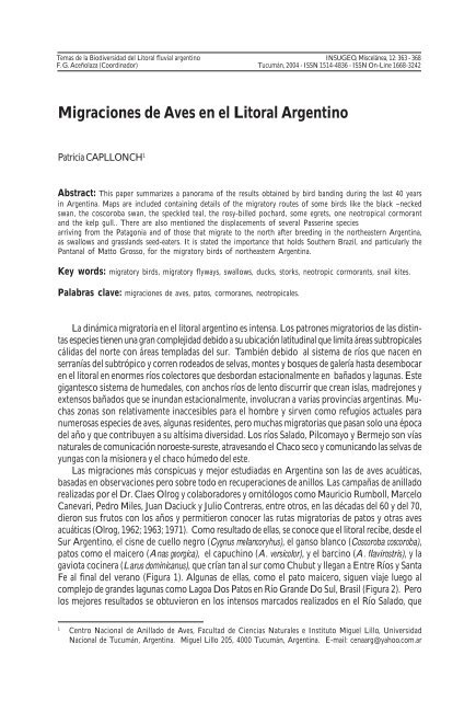 Capllonch, P. Migraciones de aves en el Litoral argentino. - INSUGEO