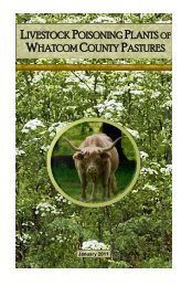 Poisonous Plants Booklet - Whatcom County