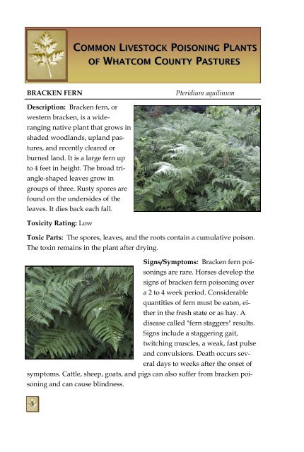 Poisonous Plants Booklet - Whatcom County