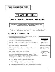 Our Chemical Senses: Olfaction