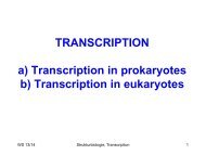 TRANSCRIPTION a) Transcription in prokaryotes ... - Strukturbiologie