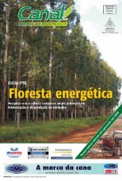 04 kÃ¡tia abreu - Canal : O jornal da bioenergia