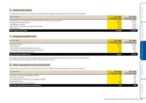 MICHELIN - 2008 ANNUAL REPORT