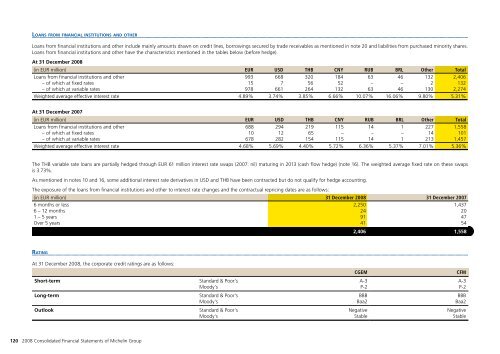 MICHELIN - 2008 ANNUAL REPORT