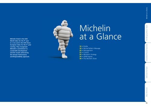 MICHELIN - 2008 ANNUAL REPORT