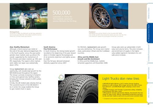 MICHELIN - 2008 ANNUAL REPORT