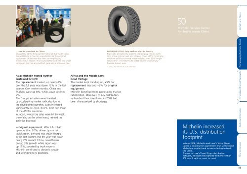 MICHELIN - 2008 ANNUAL REPORT