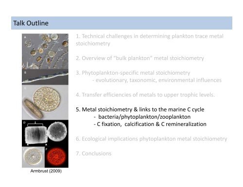 Trace element stoichiometry of marine plankton & its effect ... - IMBER