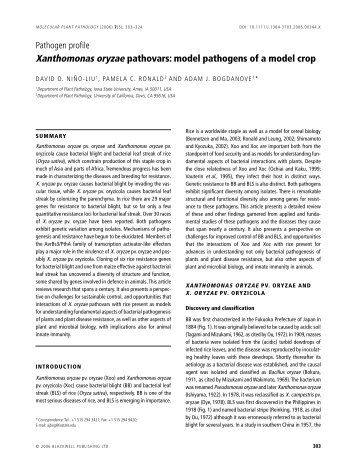 Xanthomonas oryzae pathovars: model pathogens ... - Pamela Ronald