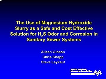 Magnesium Hydroxide Slurry: A Safe, Cost Effective Solution for ...