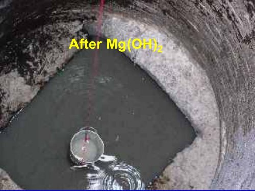 Magnesium Hydroxide Slurry: A Safe, Cost Effective Solution for ...