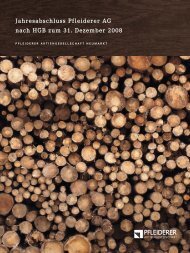 Jahresabschluss Pfleiderer AG nach HGB zum 31. Dezember 2008