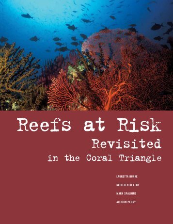 Reefs at Risk Revisited in the Coral Triangle