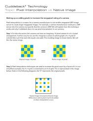 FYI-Pixel Interpolation Theory-Pg1 - Cuddeback