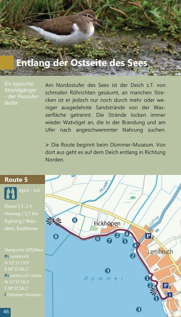 Entlang der Ostseite des Sees - Naturschutzring DÃ¼mmer